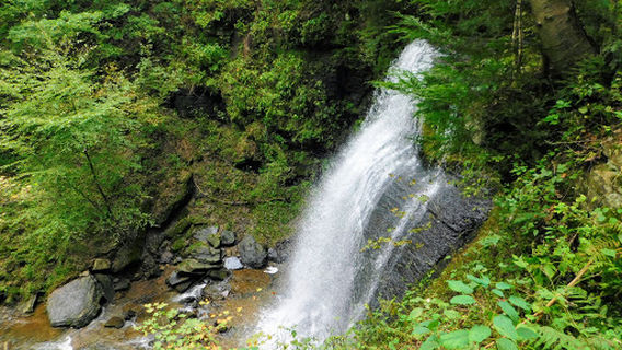 Buttermilk Falls Natural Area