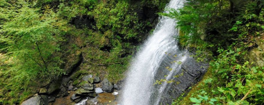 Buttermilk Falls Natural Area