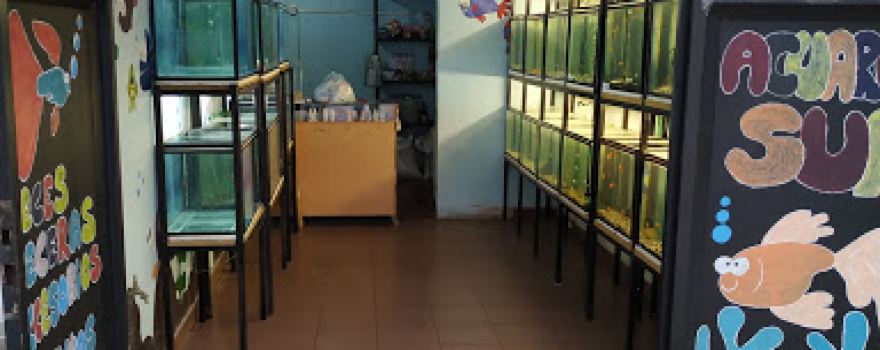 SUR ACUARIO Y FORREJERIA