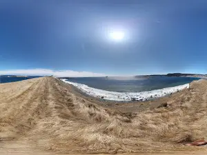 The Downs