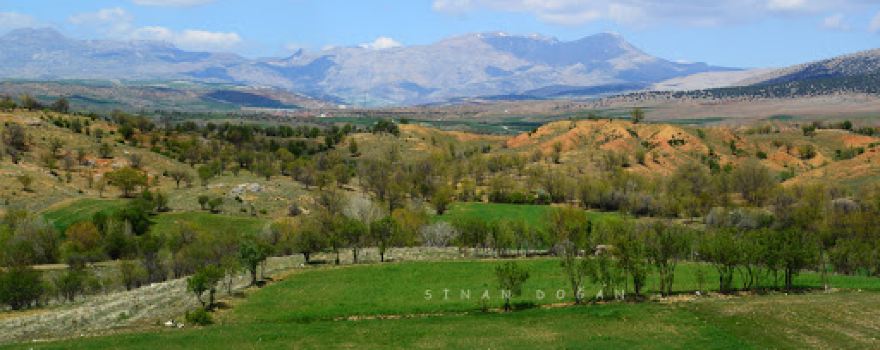 Antiokheia Kazısı Açık Hava Müzesi