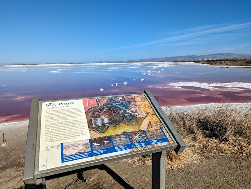 Alviso Marina County Park
