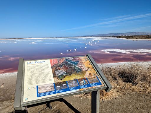 Alviso Marina County Park