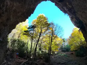 Paso del Oso