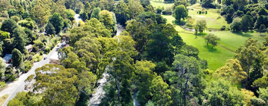 Warburton river side