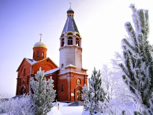 Vsekh Skorbyashchikh Radost'