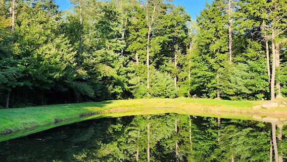 Cole's Mine RV Resort and Campground