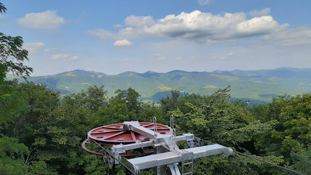 Smotrovaya Ploshchadka "Safari Park"