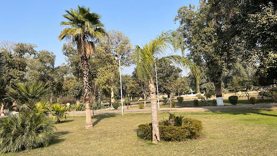 Cantt Garden ( Company Bagh)