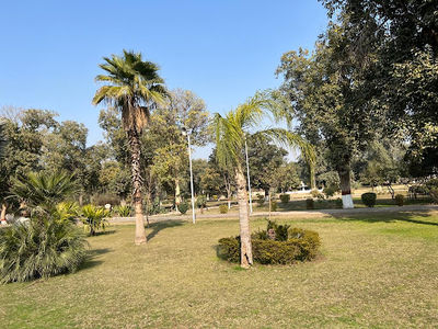 Cantt Garden ( Company Bagh)