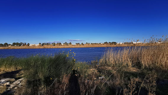El Prat de Llobregat