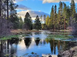 Head Of The Metolius Observation Site