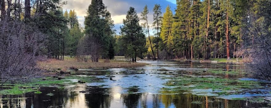 Head Of The Metolius Observation Site