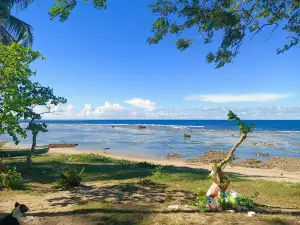 Alma Beach