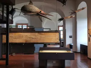 Jura Museum