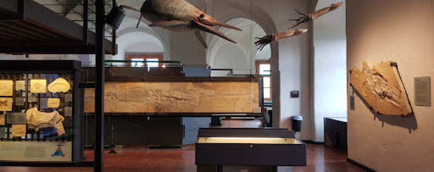 Jura Museum