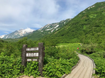 Tsugaike Nature Park