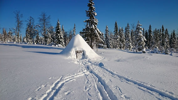 Furutangen