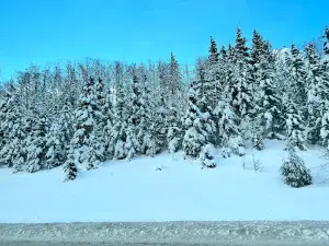 Summit Tubing Park