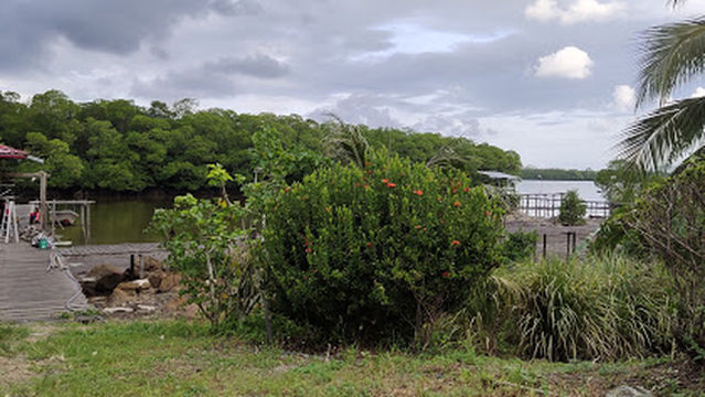 Tagasan laut Fising Paradise