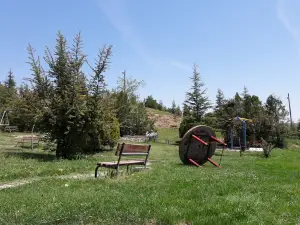 Saray Belediyesi Piknik Alanı