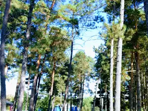 Conklin Park
