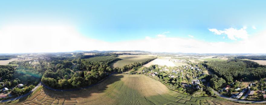 corn maze