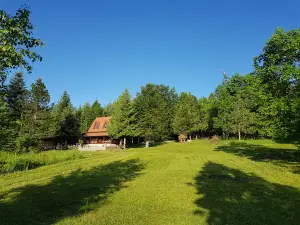 Tara National Park