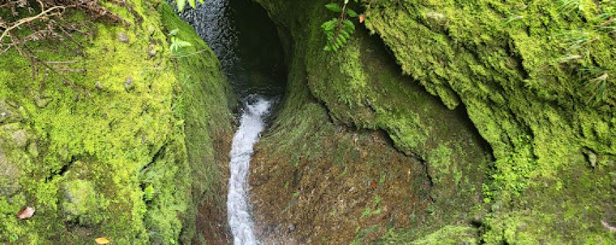 PR16 Levada Fajã do Rodrigues