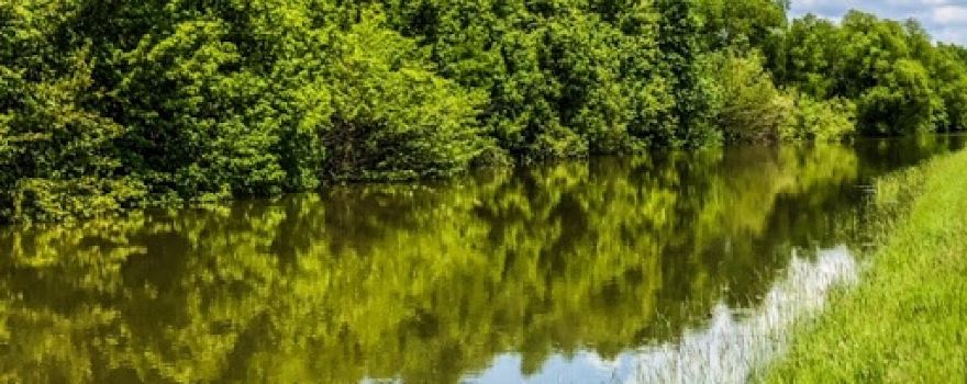 Helena River Park