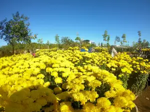 April 16th Park