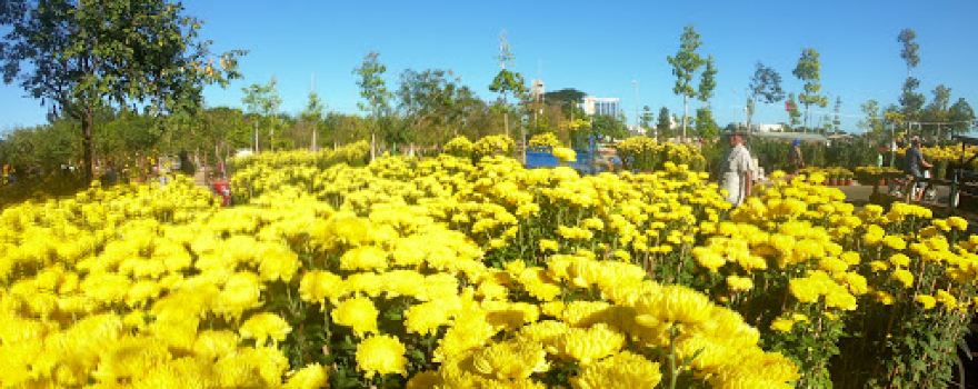 April 16th Park