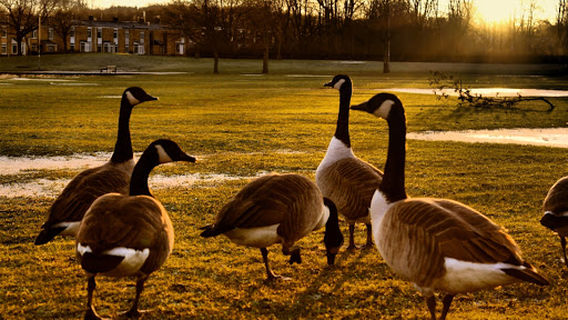 West Park