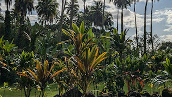 Tahiti