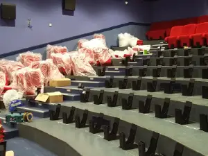Cinéma Le Danton