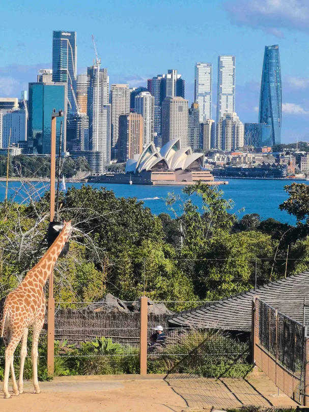 Taronga Zoo Sydney