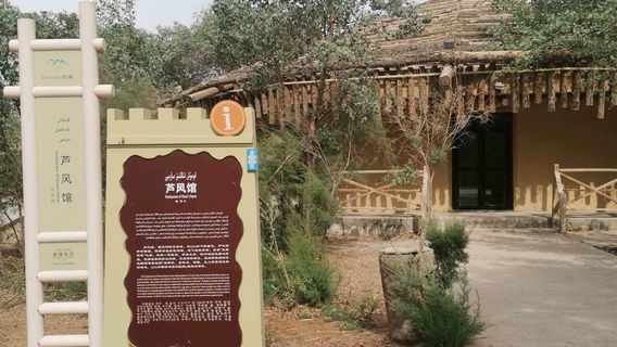 Bachu County Red Sea Scenic Area - Golden Poplar Island · Reed Wind Pavilion