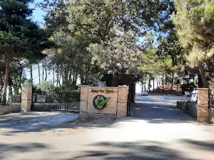 Soğukoluk Hatay