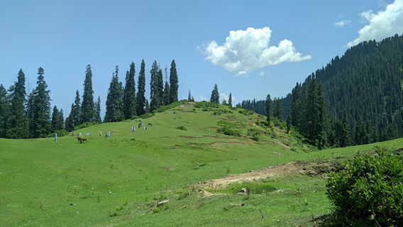 Jarogo Waterfall Swat Valley
