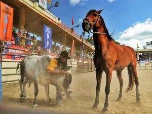 Rodeo Masbateño Grand Arena