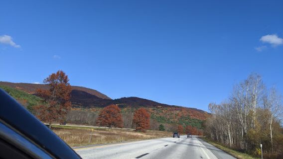 Blueberry Hill Wildlife Management Area