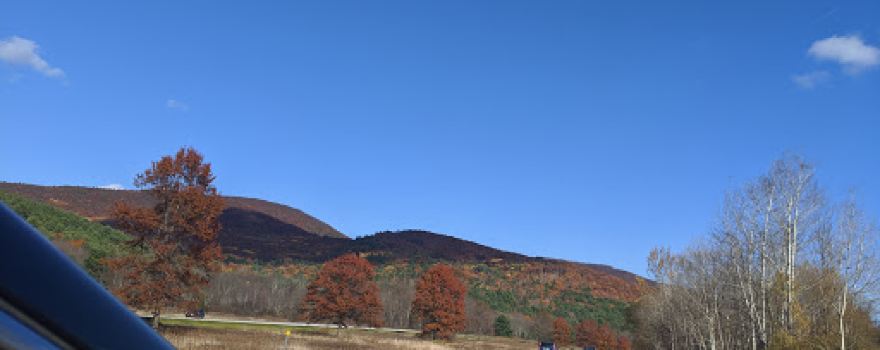 Blueberry Hill Wildlife Management Area