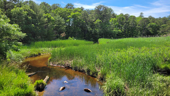 Lyman Reserve