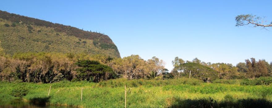 Waipi’o Valley Park