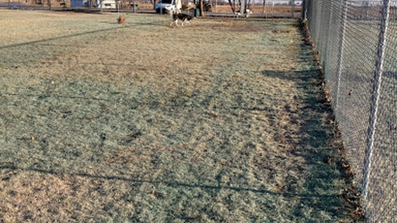 Altus Dog Park