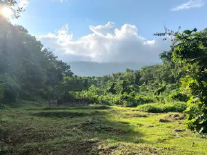 Woods and Earth Retreat