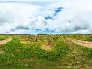 Redgate Wines