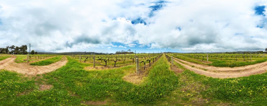 Redgate Wines