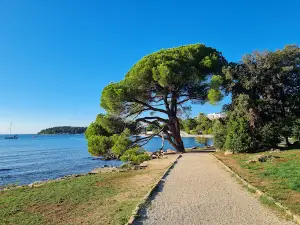 Park forest Zlatni Rt