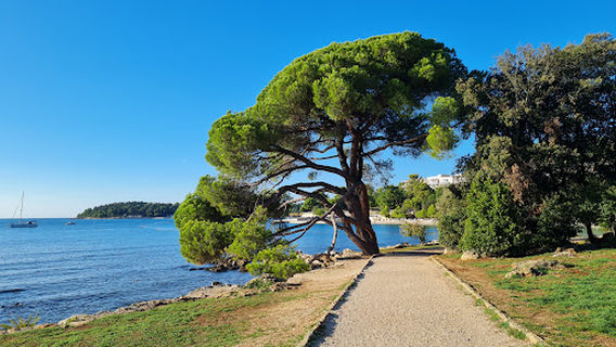 Park forest Zlatni Rt